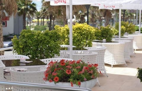 Hotel Arvi 4*, Bar (on property)