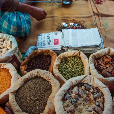 Northern India: Riverside Safaris, Ancient Fortresses & The Taj Mahal