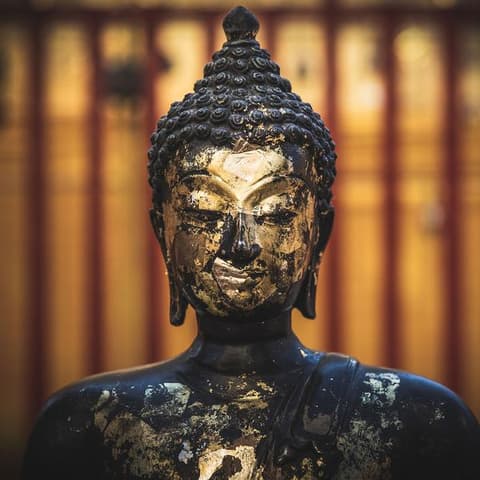 Thailand Adventure: Bangkok, Chiang Mai & Street Food Crawls