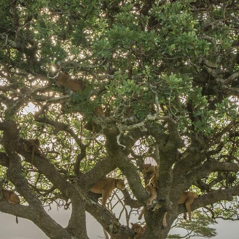 Nairobi to Joburg Overland: Craters & Camping