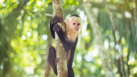 Costa Rica Family Experience