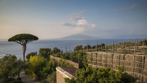 Local Living Italy—Sorrento