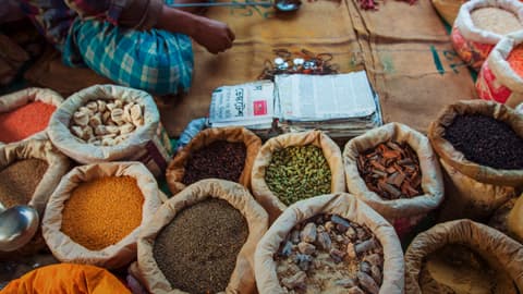 Northern India: Riverside Safaris, Ancient Fortresses & The Taj Mahal