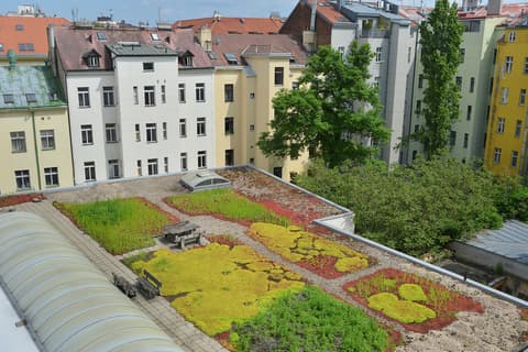 Prague Season, General view