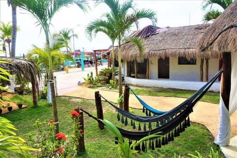 Mayan Mittoz, General view