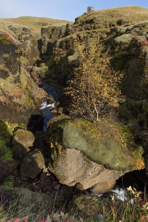 Dalshöfdi Guesthouse, 