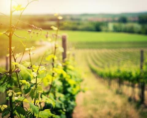 MTPE-10081 MEGA EUROPA ESPECIAL – PORCION TERRESTRE