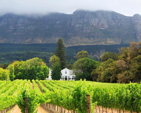 EXPERIENCE SUDAFRICA Urban & Wildlife 