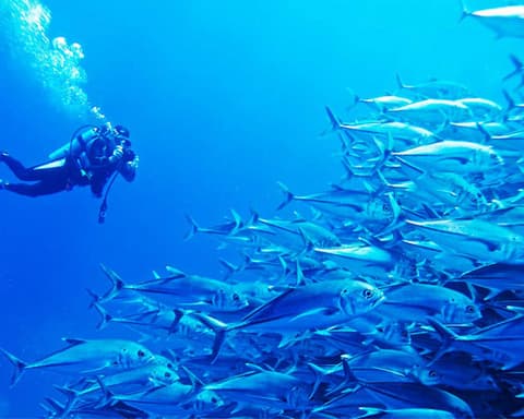 BAJA CALIFORNIA SUR CLÁSICO