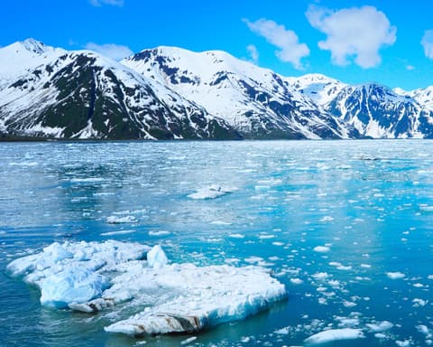 ALASKA - GRAND PRINCESS