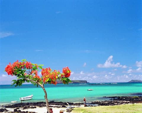 Séjour Maurice -  Évasion à l’île Maurice