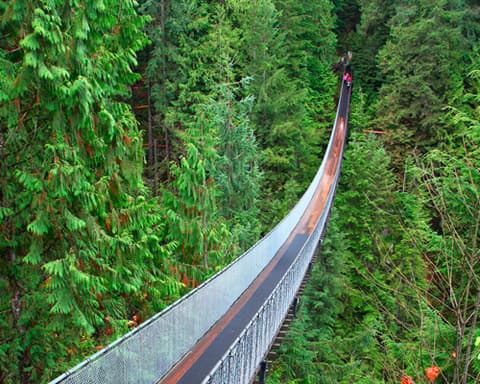 ALASKA - RUBY PRINCESS