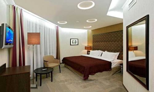 Park Inn by Radisson Sadu, Moscow, ROOM