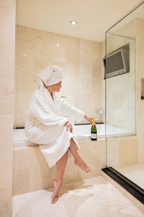 Millennium Knickerbocker Chicago, Room