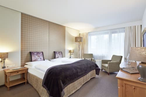 Das Alpenhaus Kaprun, Room