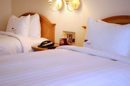 Millennium Downtown, Room