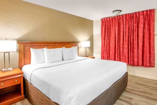Econo Lodge  Inn & Suites Durango, Room