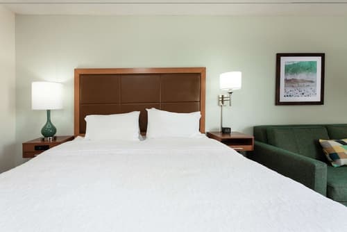 Hampton Inn Orlando International Drive Convention Center, Room