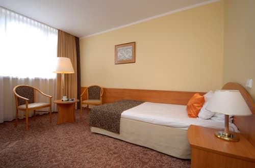 Hotel Mercure Torun Centrum, Room