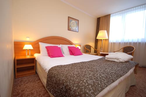 Hotel Mercure Torun Centrum, Room