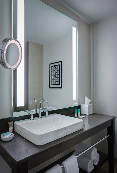 Hyatt Regency Cleveland At The Arcade, Bathroom