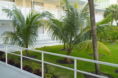 Collins Hotel, Garden