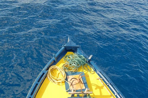 Vaali Maldives Island Escapes & Dive, Fishing