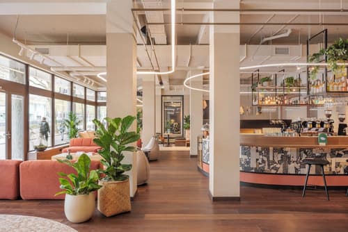 The Usual Rotterdam, Primary image