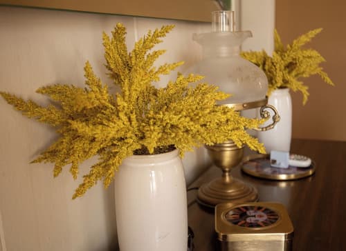 The Boho Buffalo Inn, Room