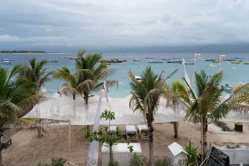 Scallywags Resort, Reception