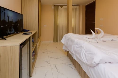 Pyramids Express View Inn, Room