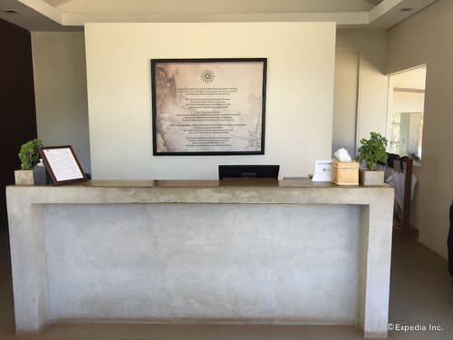 The Funny Lion, Reception