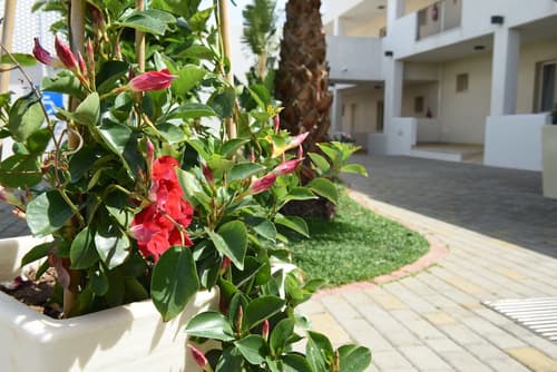 Donnosanto Hotel, Garden