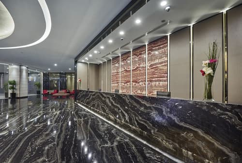 Hotel Boss, Reception