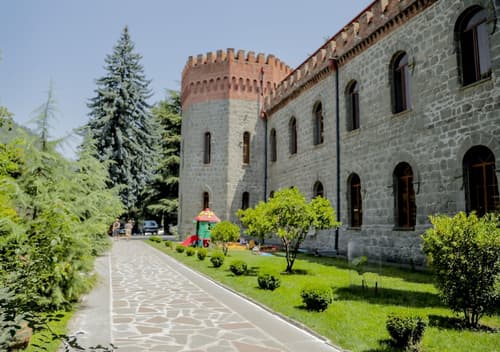 Borjomi Palace, Primary image