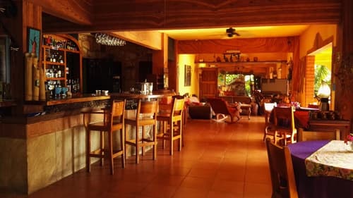 Mango Moon Villa, Bar (on property)