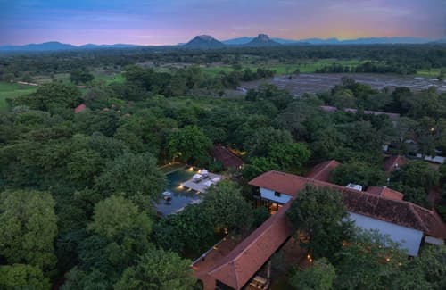 Sigiriya Jungles, Primary image