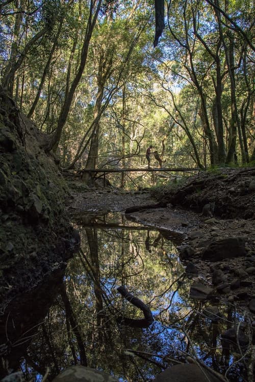 Woodlands Self Catering, Knysna, Hiking