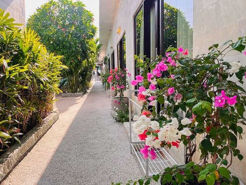 Kura Kura Beach Resort, Terrace/patio