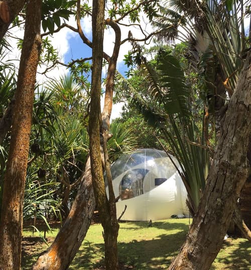 Bubble Lodge Bois Chéri, Room