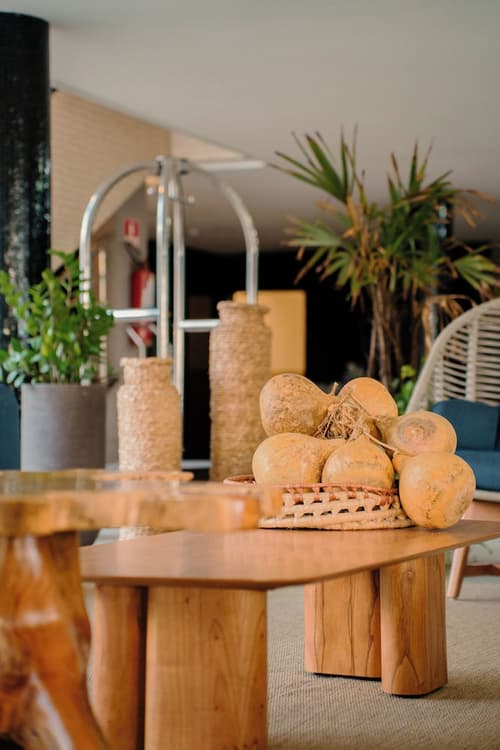 Afago Mareiro Hotel, Reception