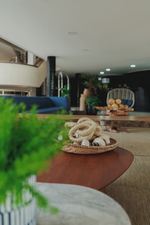 Afago Mareiro Hotel, Reception