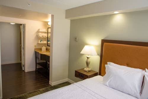 Hampton Inn & Suites Albany-Downtown, Room