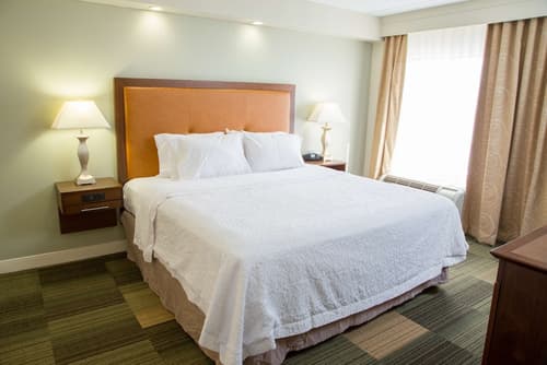 Hampton Inn & Suites Albany-Downtown, Room