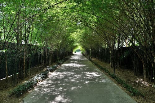 Twin Lotus Resort and Spa (Adult Only / November to April), Interior entrance