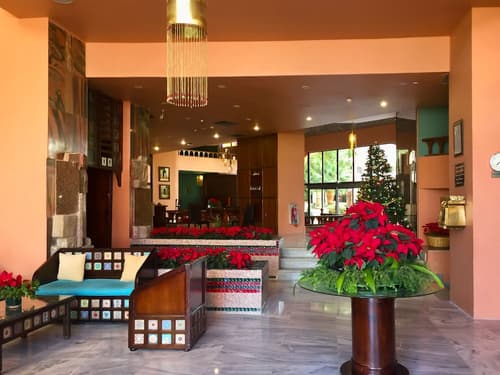 Basma Hotel Aswan, Reception