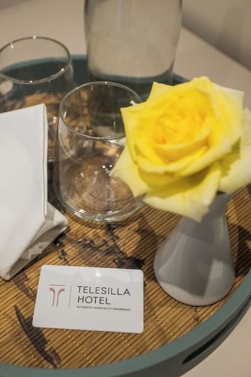Telesilla Hotel, Room