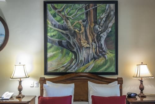 Hotel Villas Lirio, Room