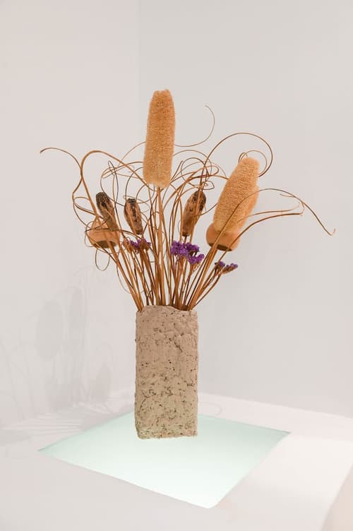 Amerisa Suites & Villa, Reception