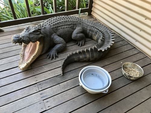Kimberley Travellers Lodge - Hostel, Concierge desk